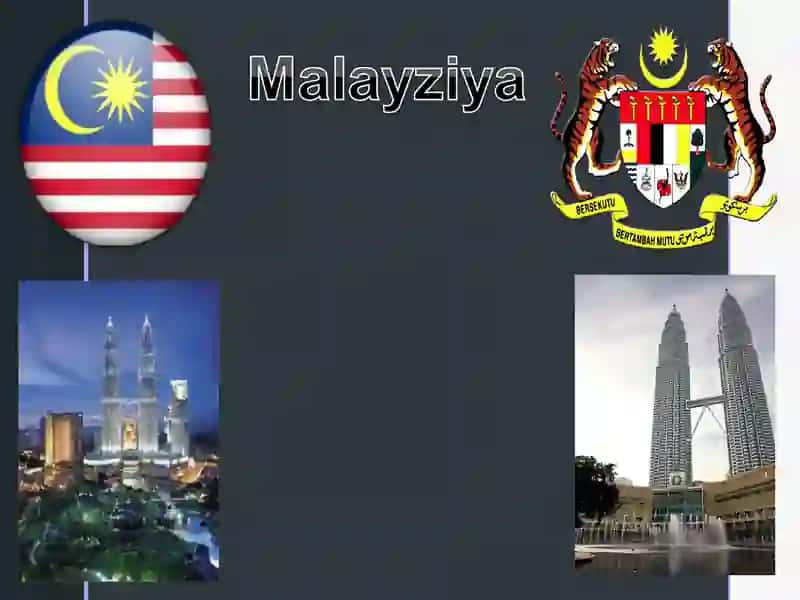 Malayziya Iqtisodiyoti 2