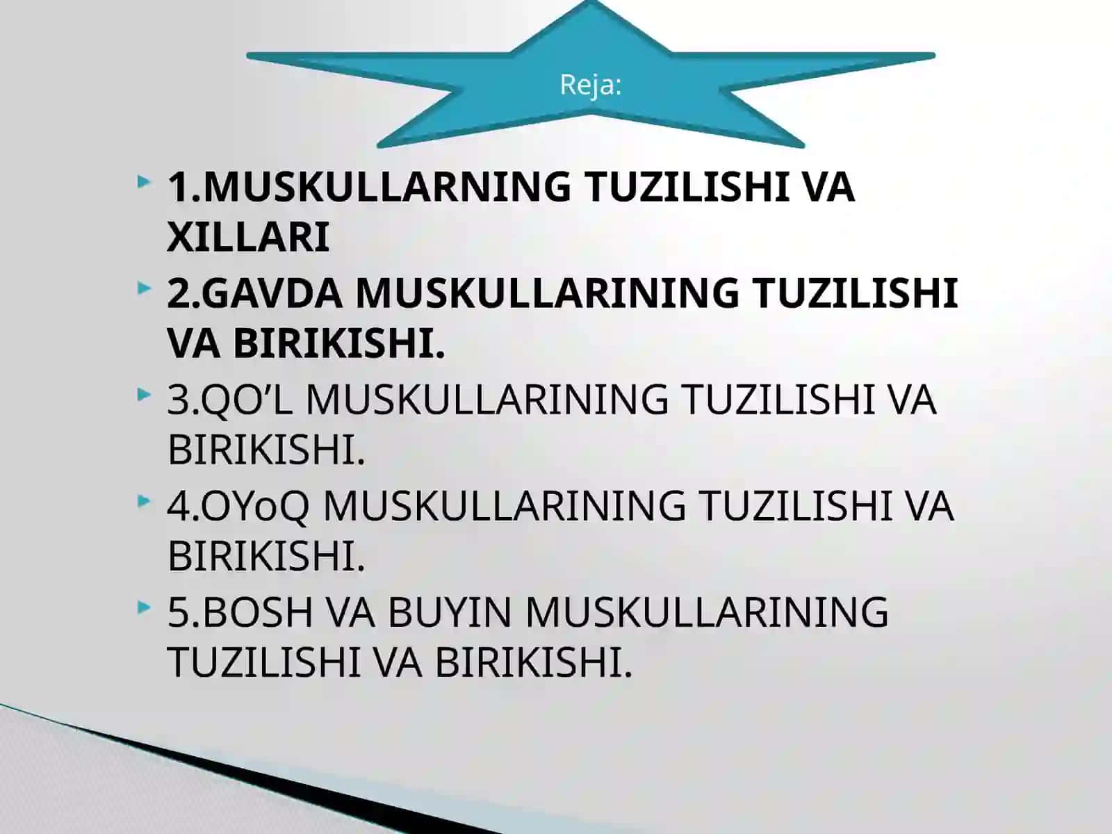 MUSKULLARNING TUZILISHI VA JOYLASHISHI 2