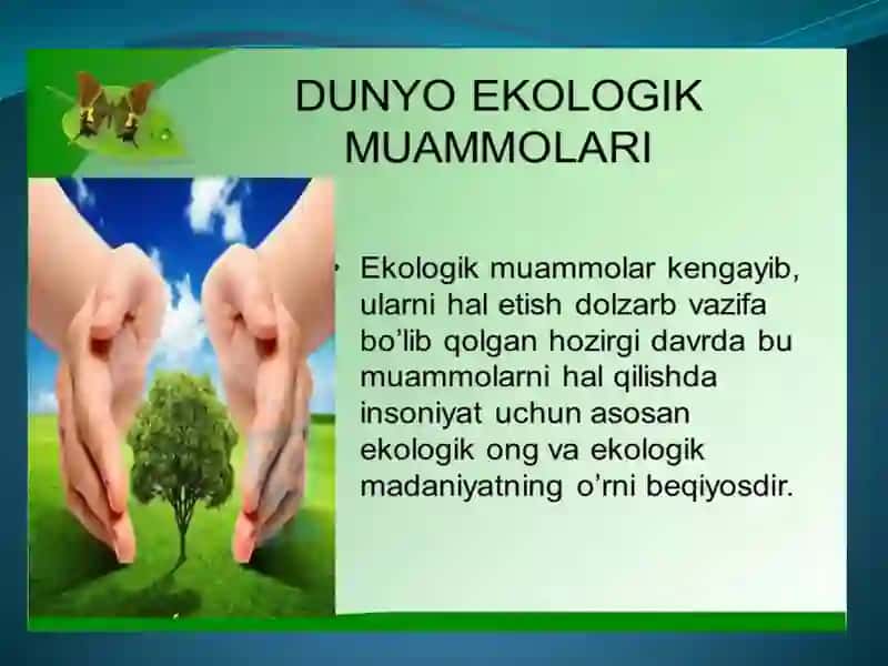 Ekologik muammolar. mustaqil ish 2