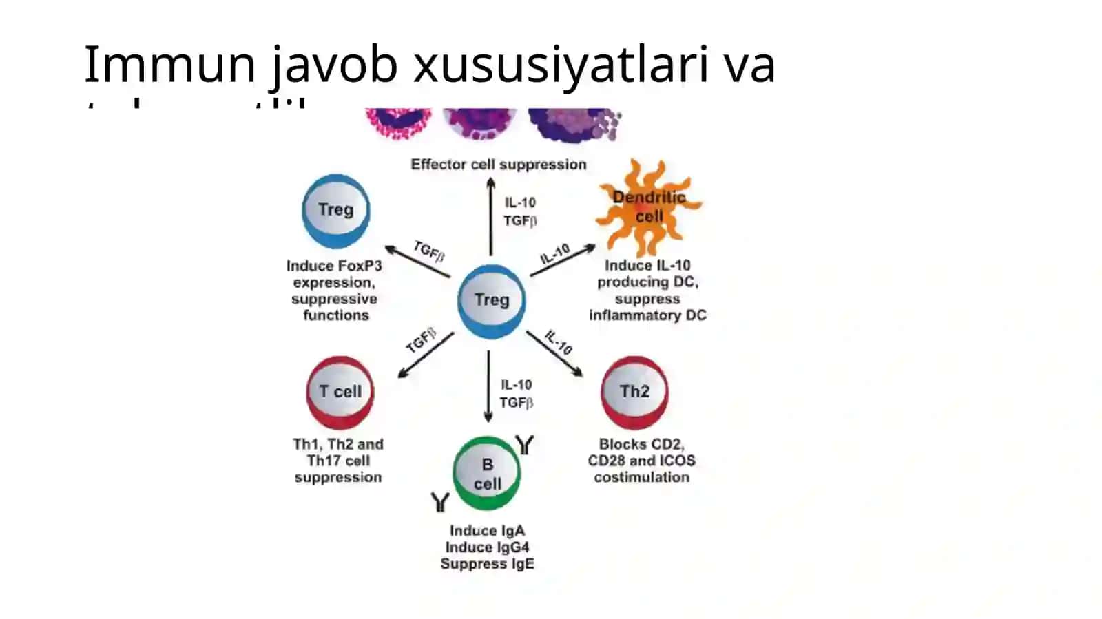 Malekulyar allergologiya asoslari va ASIT terapiya 2