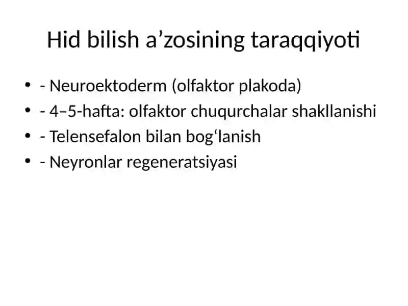 Hid bilish a’zosi (Olfaktor tizimi) 2