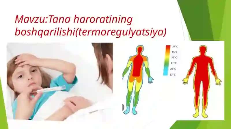 Tana haroratining boshqarilishi(termoregulyatsiya) 2
