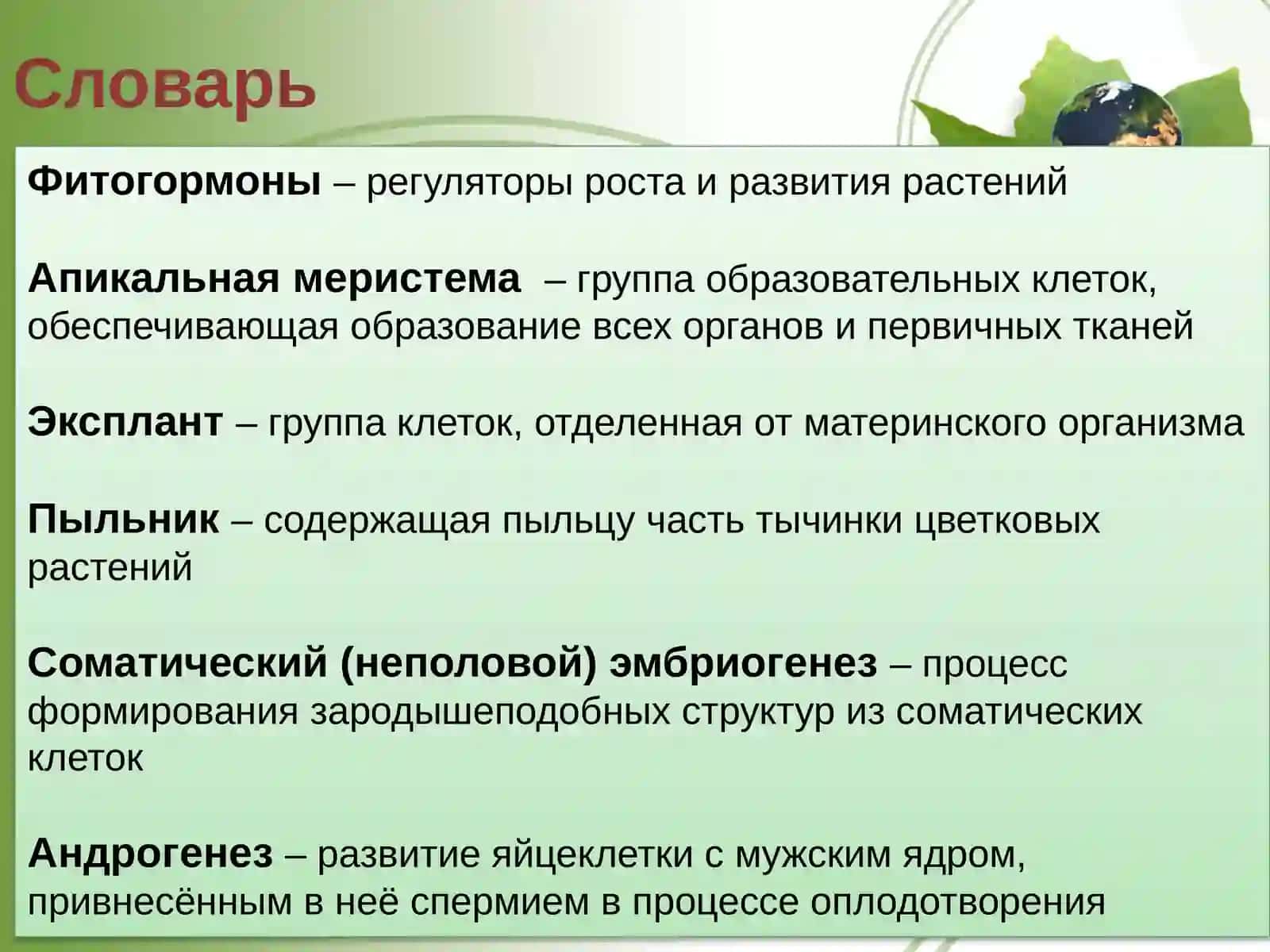 ОСНОВЫ БИОТЕХНОЛОГИИ 2