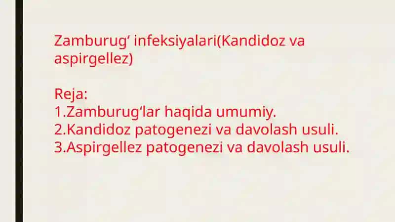 Zamburugʻ infeksiyalari(Kandidoz va aspirgellez) 2