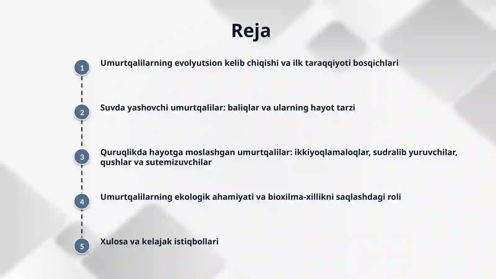 Umurtqalilar kenja tipi Vertebrata 2