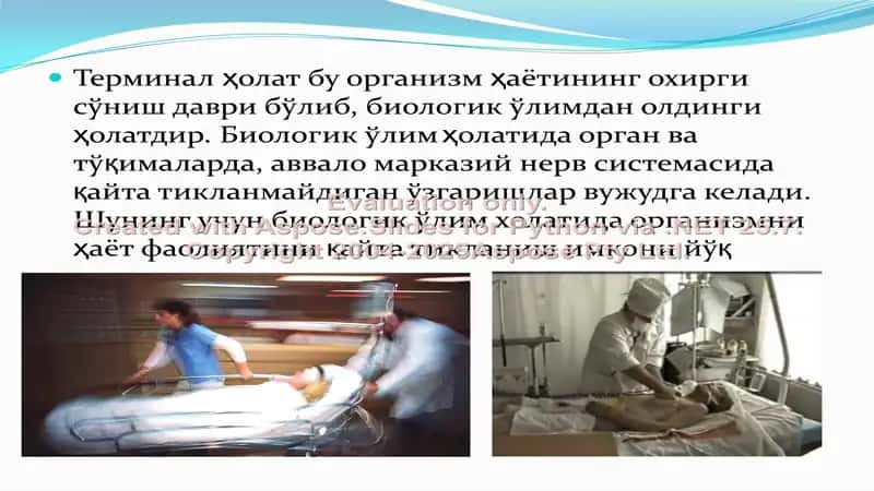 Терминал ҳолатлар 2