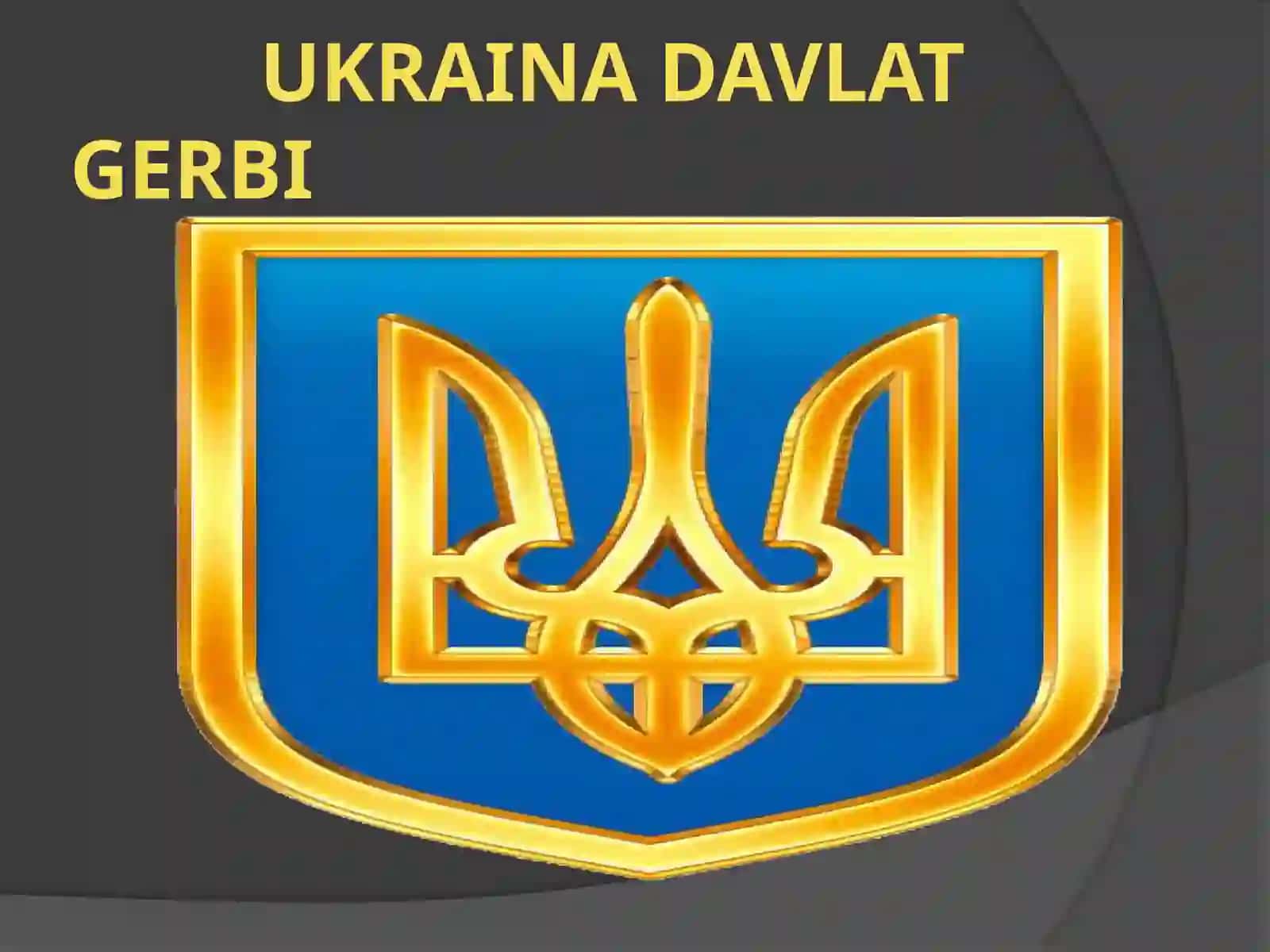 Ukraina davlat prezidenti Vladimir Zelenskiy 2