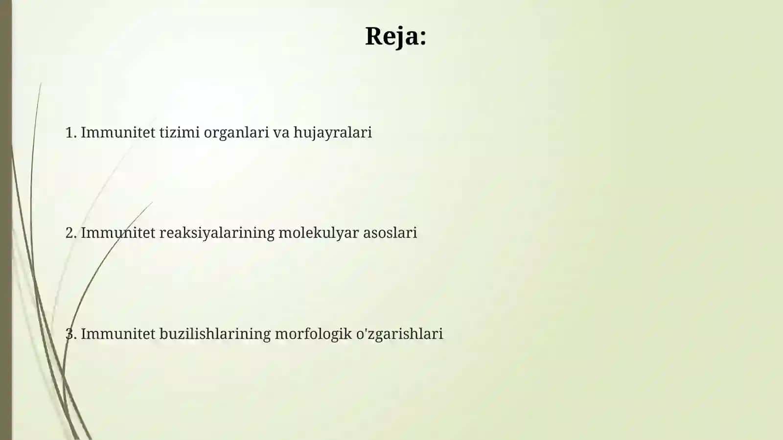 Immun himoya reaksiyalarining morfologik asoslari 2