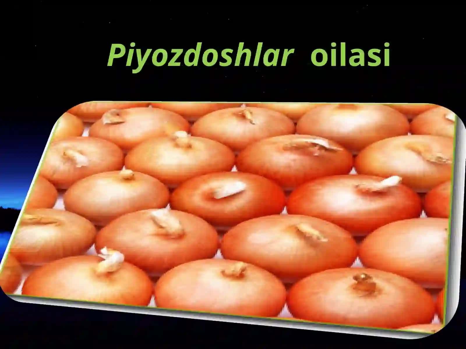 Piyozdoshlar oilasi 2