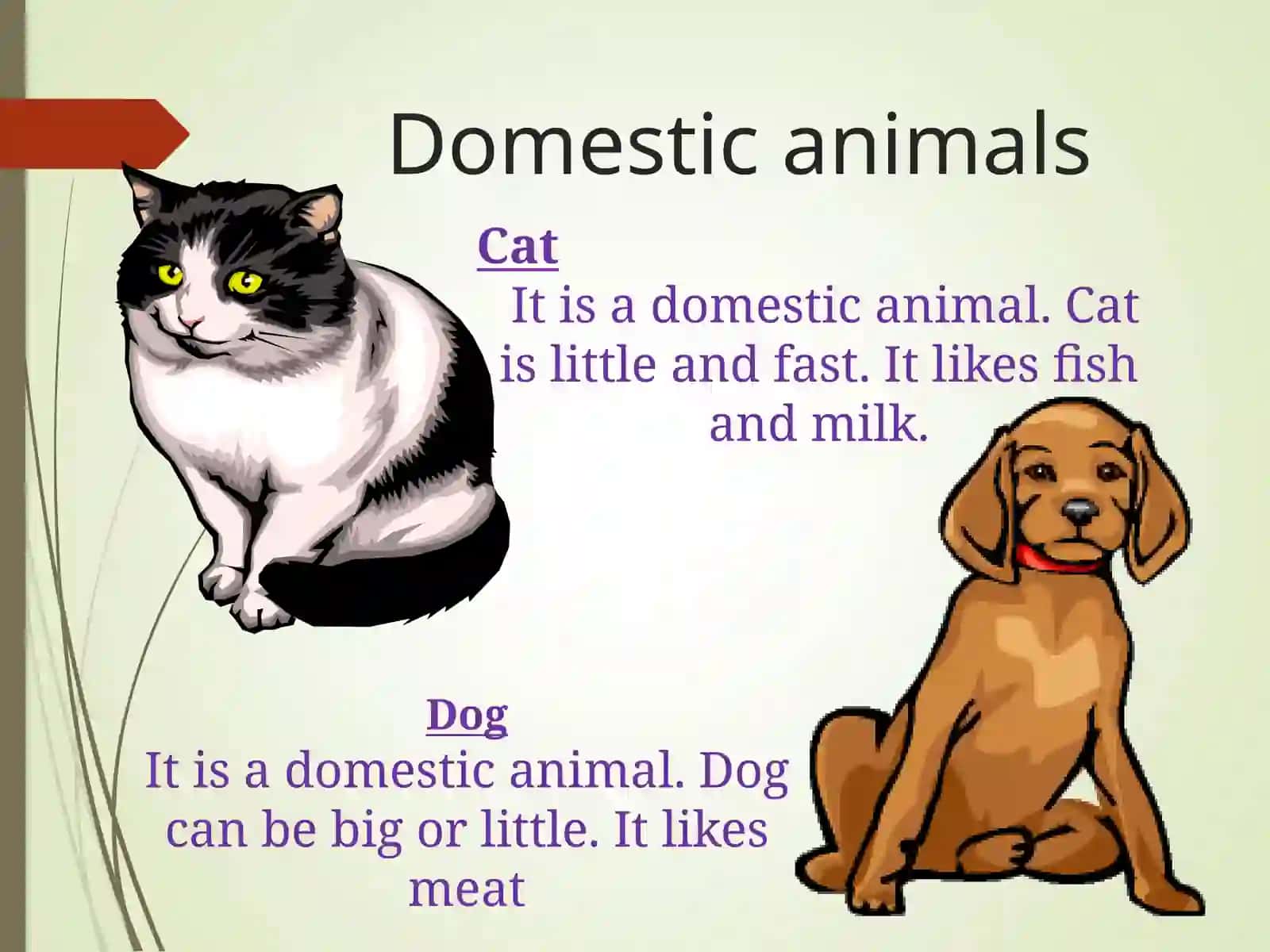 Domestic and Wild Animals 2