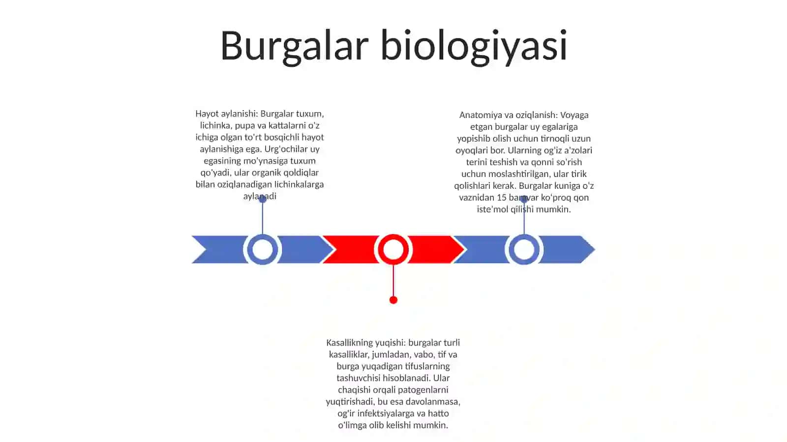 Burgalar biologiyasi 2