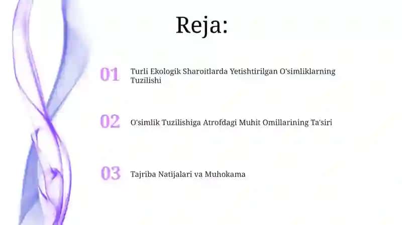 O'simlik Tuzilishi 2