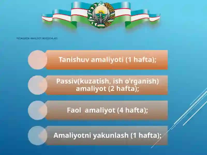 pedagogika amaliyotiga bag’ishlagan TAQDIMOTI 2