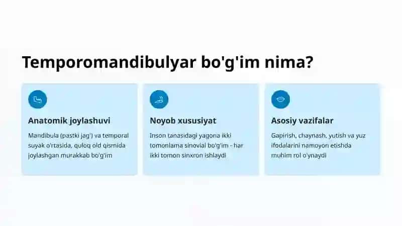Temporomandibulyar Bo'g'im Suyaklari 2