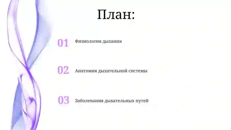 Дыхательная система 2