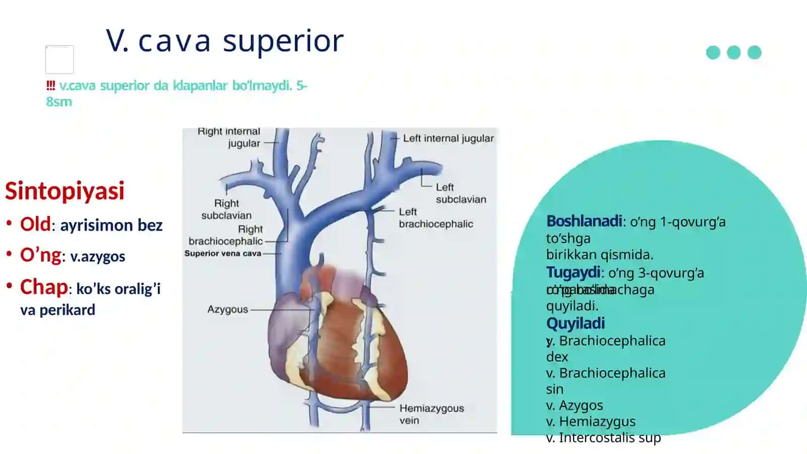 Yuqorikovakvena.Darvozavenasi 2