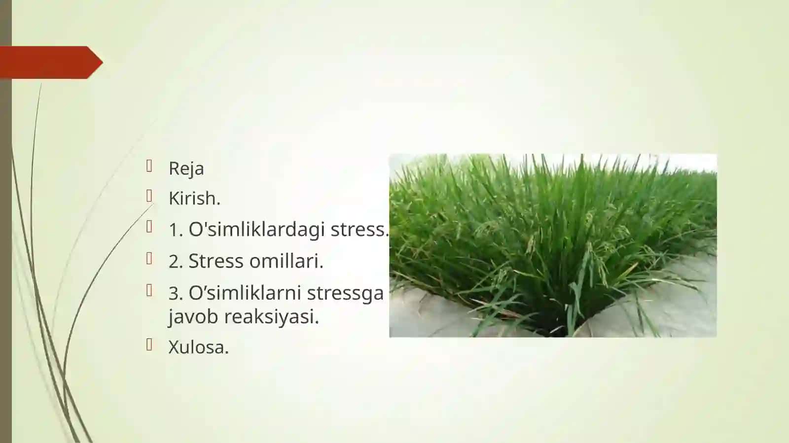 O'simliklardagi stress omillari 2
