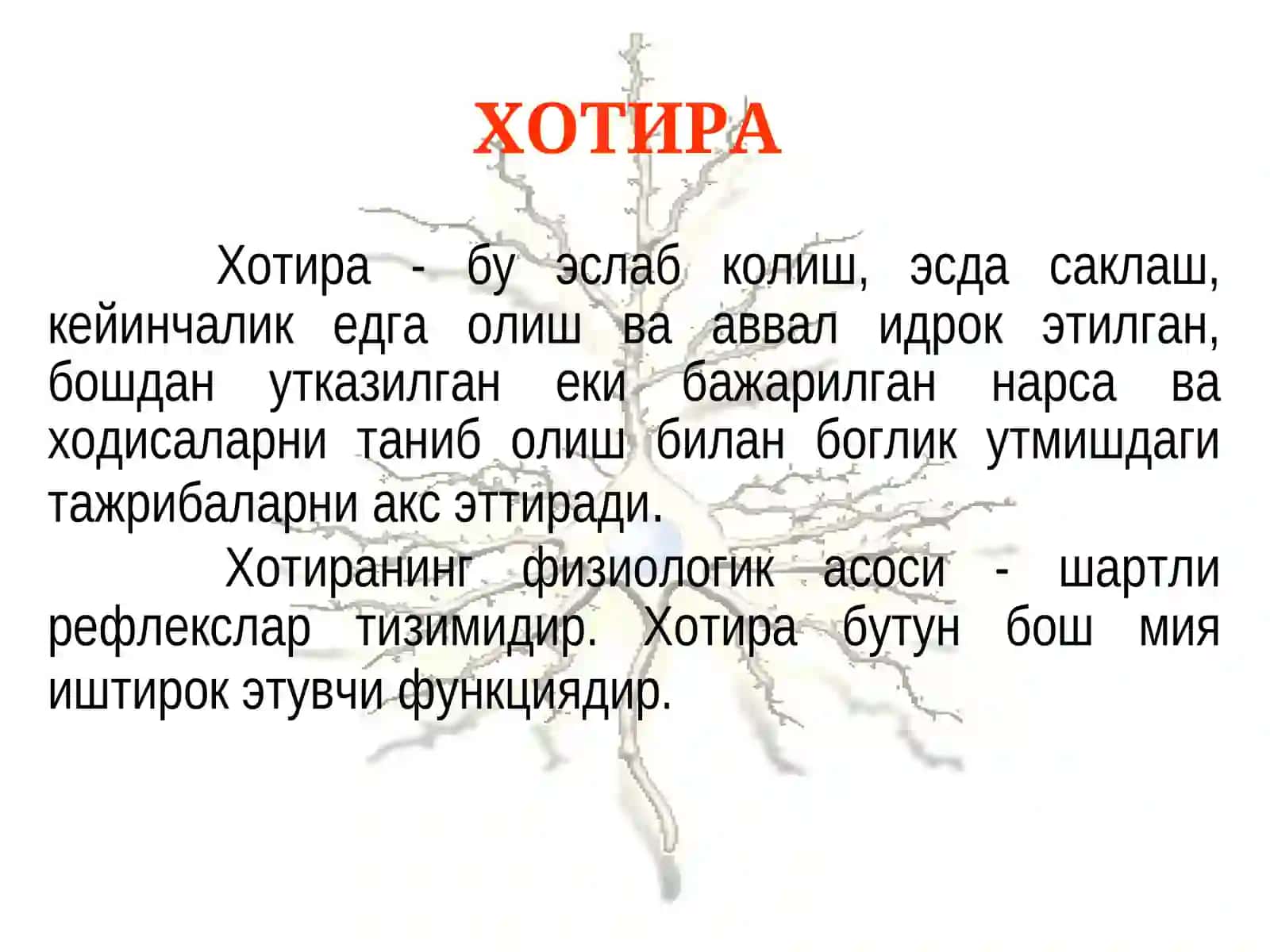 Психиатрия 2