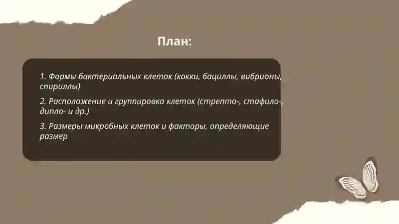 Морфология микробов 2