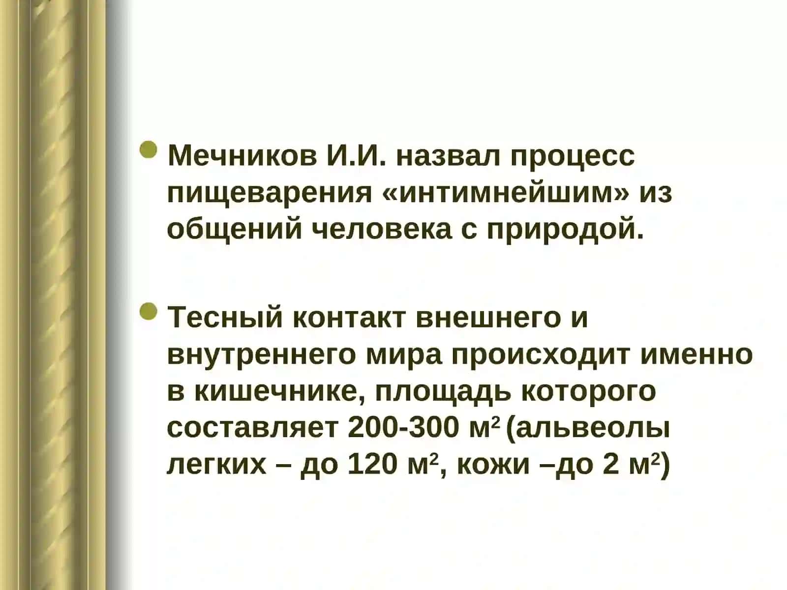 ТРИ ЗВЕНА ПИЩЕВАРЕНИЯ В ТОНКОЙ КИШКЕ 2