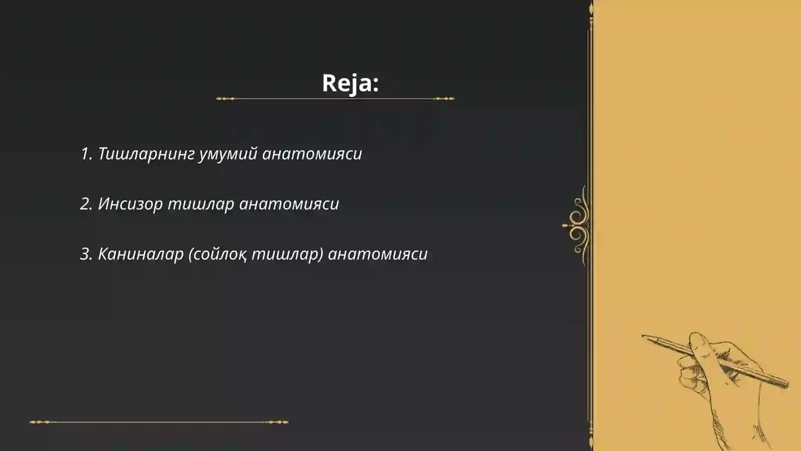 Тиш анатомияси лотин тилида 2