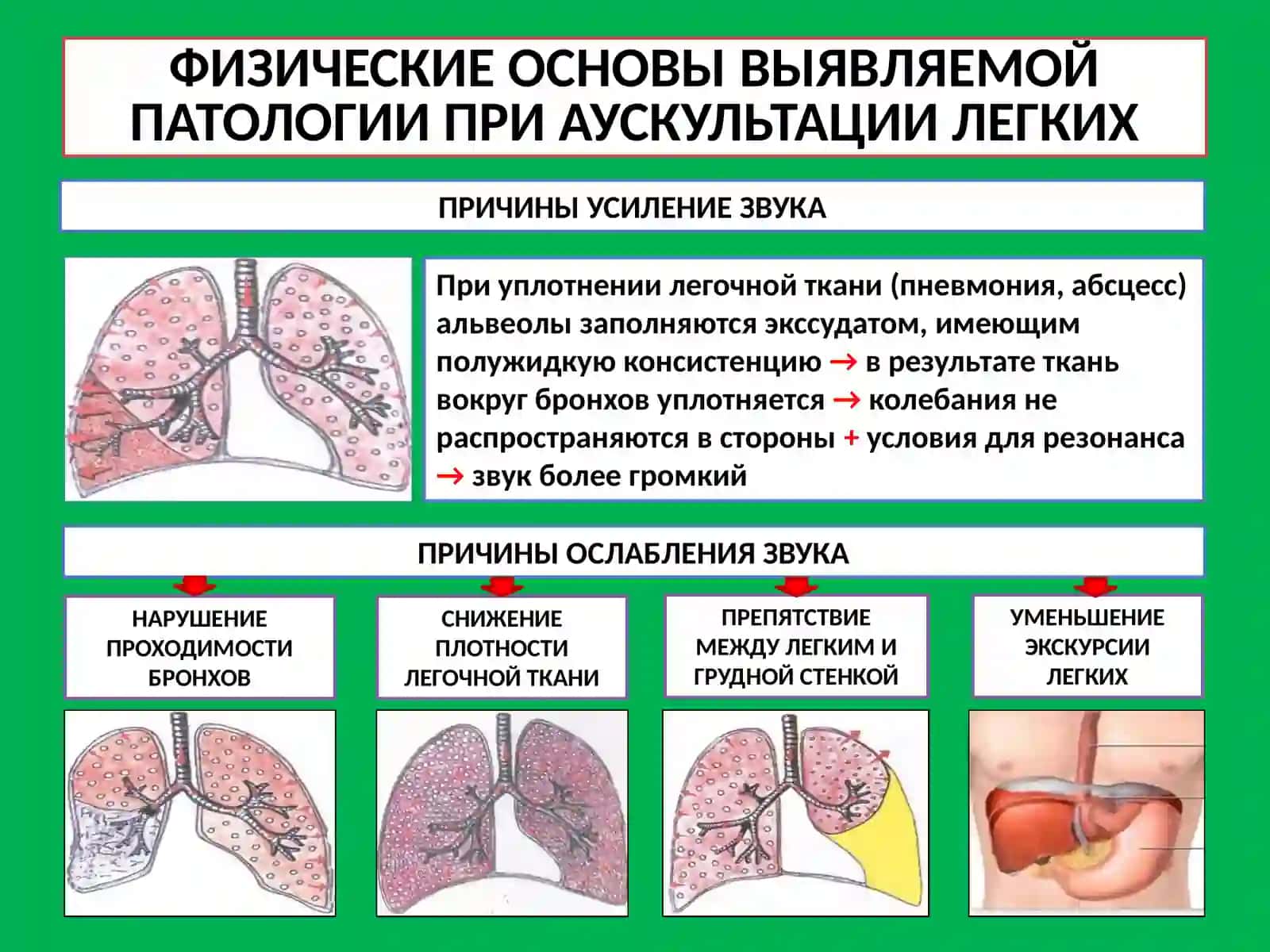 ФИЗИЧЕСКИЕ ОСНОВЫ АУСКУЛЬТАЦИИ 2