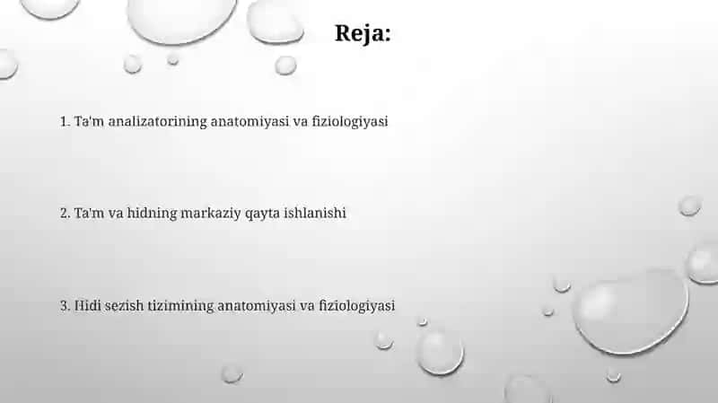 Ta'mbilish va hidbilishazorining funksional anatomiyasi 2
