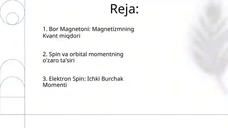 Bor Magnetoni 2