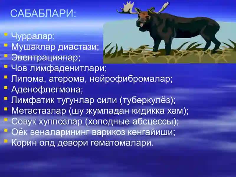 КОРИН ОЛД ДЕВОРИ ХОСИЛАЛАРИ ВА ЧУРРА АСОРАТЛАРИ 2