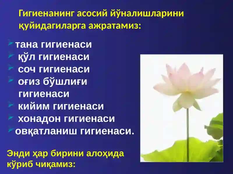 Гигиена 2