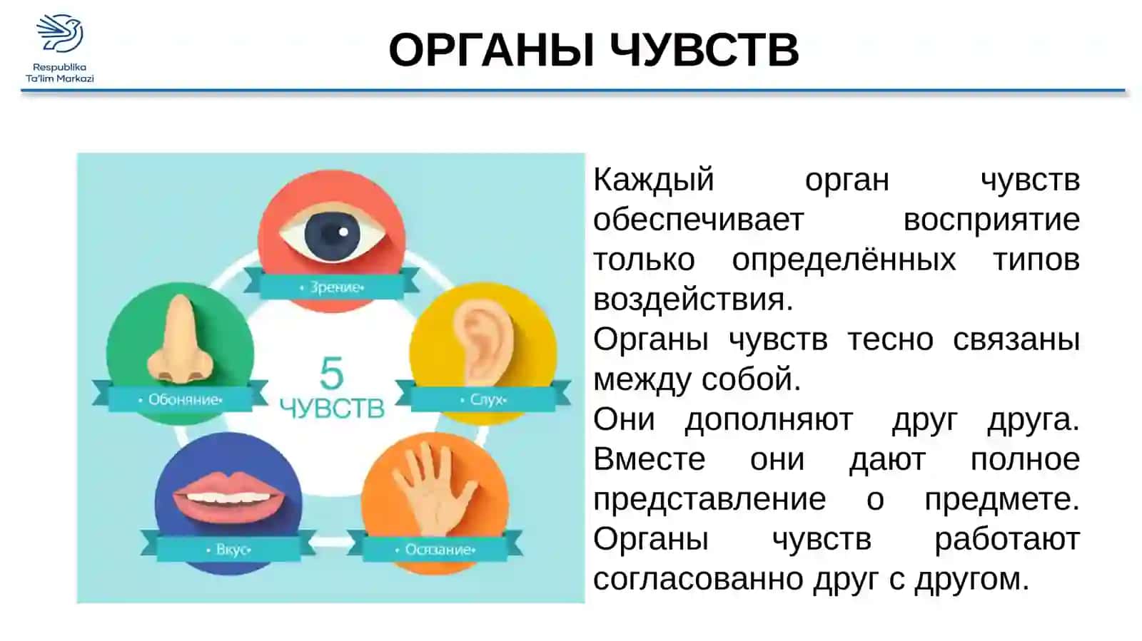 ЗНАЧЕНИЕ ОРГАНОВ ЧУВСТВ 2