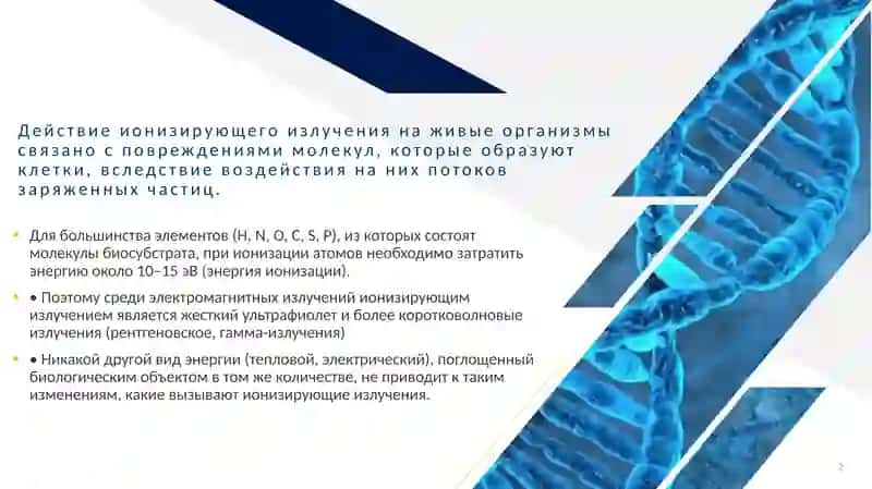 Действие ионизирующих лучей на клетку 2