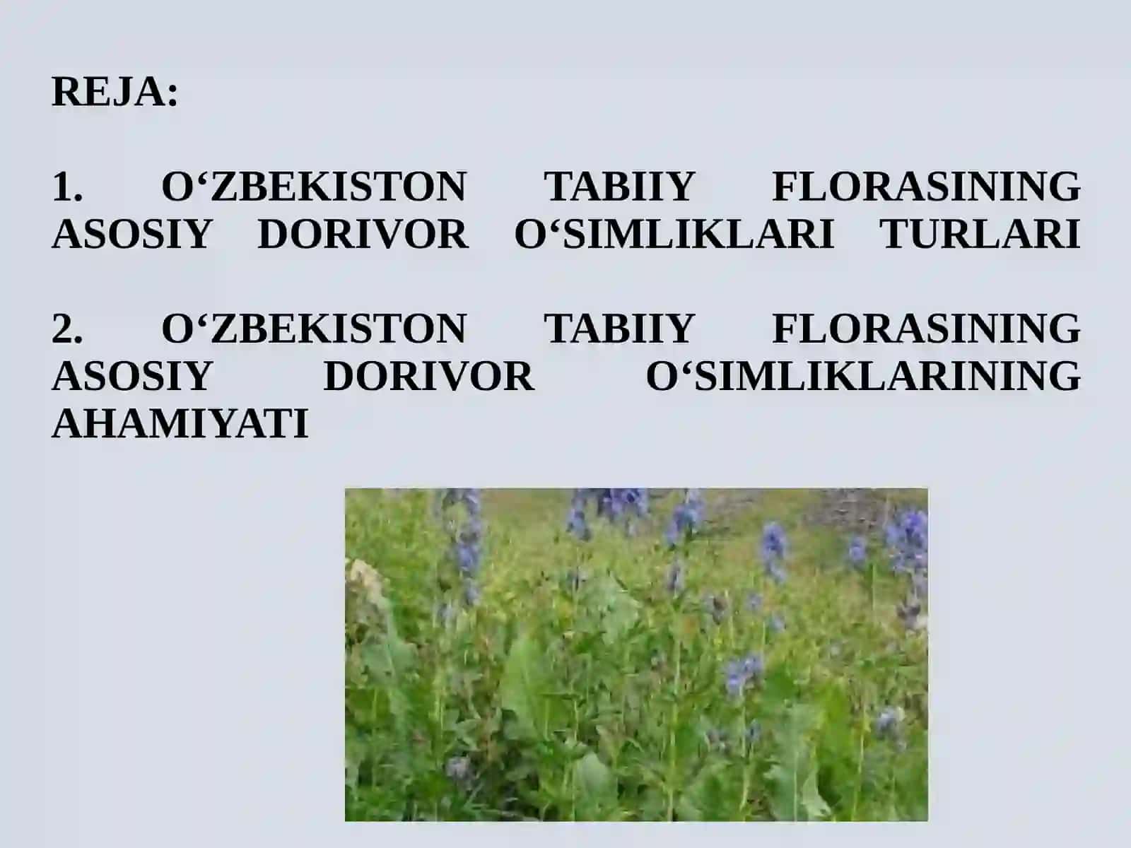 O‘ZBEKISTON TABIIY FLORASININGASOSIY DORIVOR O‘SIMLIKLARI 2