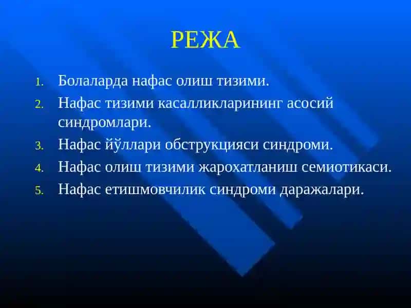 Нафас олиш тизими 2