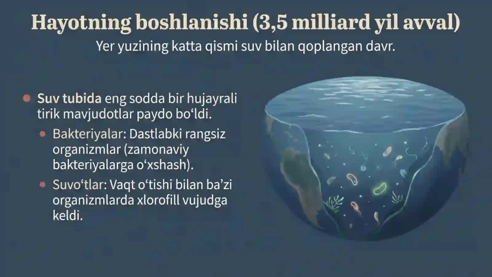 Yerda o'simliklar dunyosining rivojlanishi 2