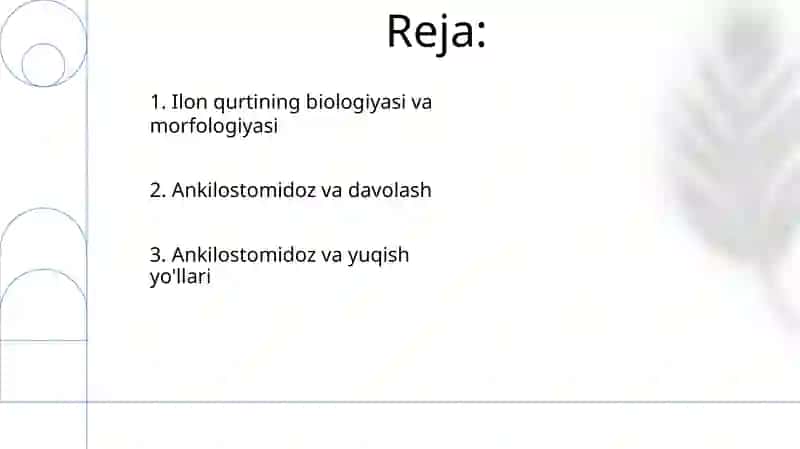 Egri boshli guja (Ancylostoma duodenale) 2
