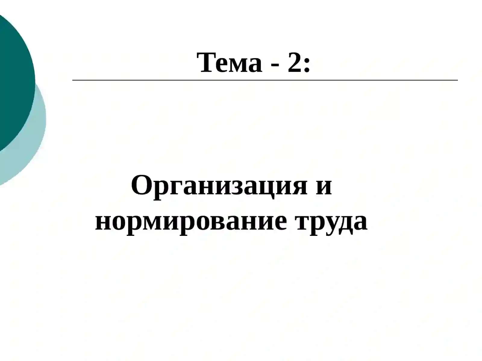 Экономика труда и человеческое развитие 2