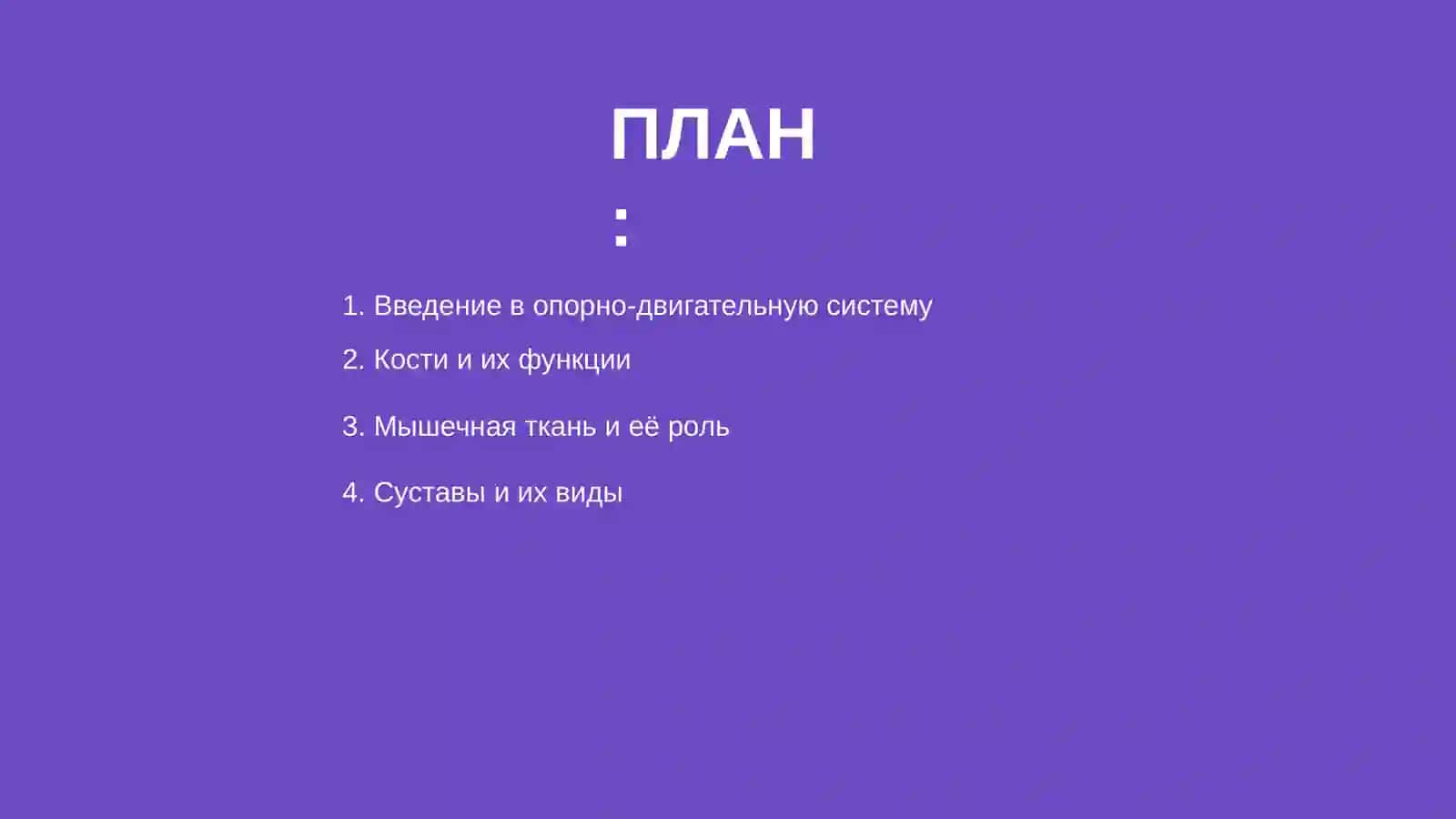 Опорно-двигательная система человека 2