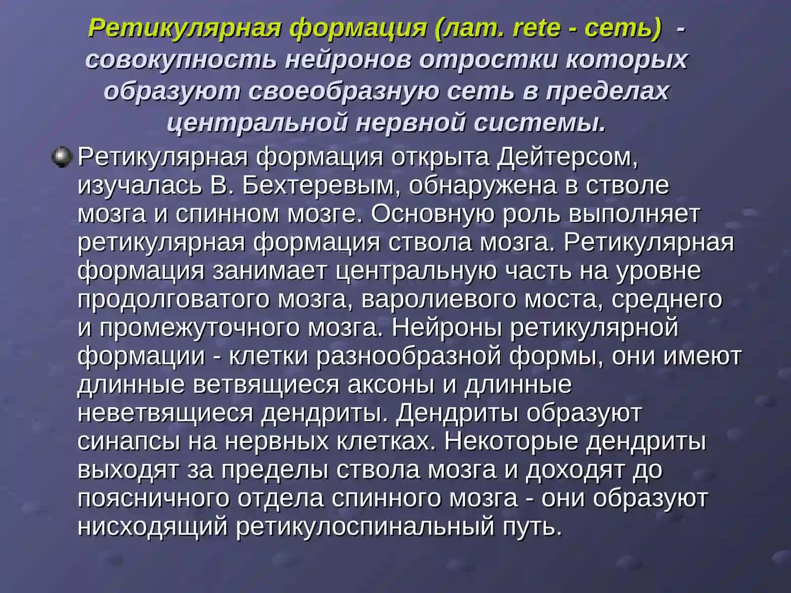 Ретикулярная формация 2