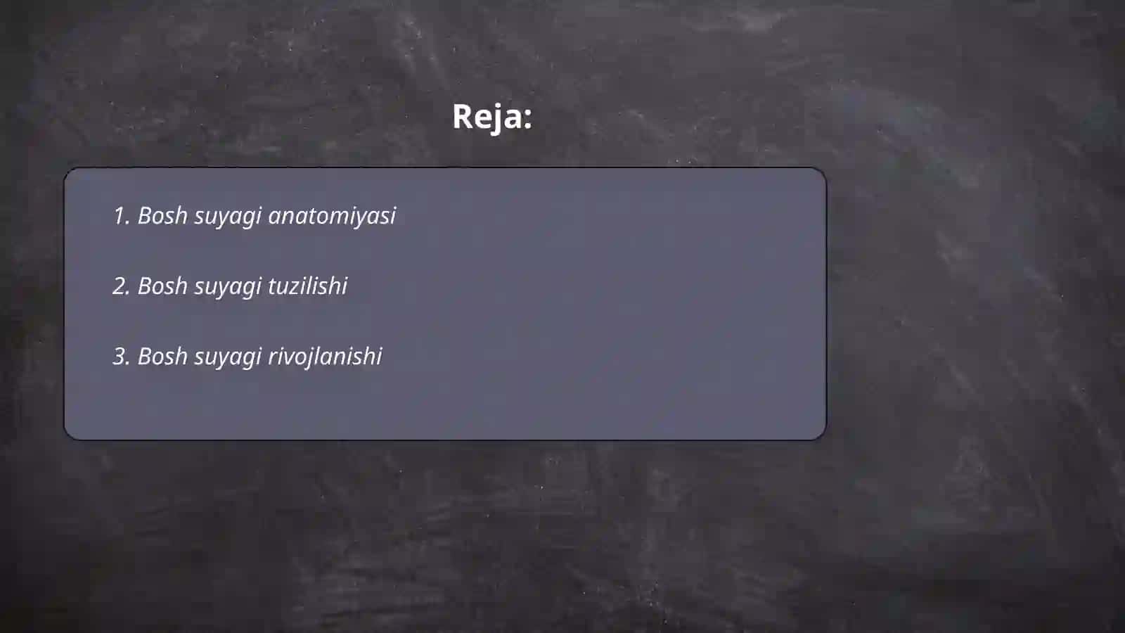 Bosh Suyagi anatomiyasi 2
