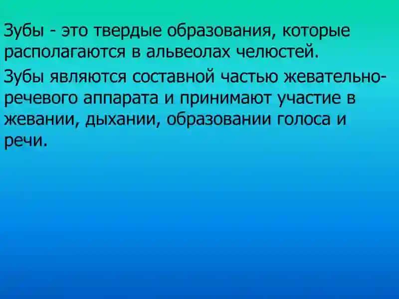 Особенности анатомического строения зубов 2