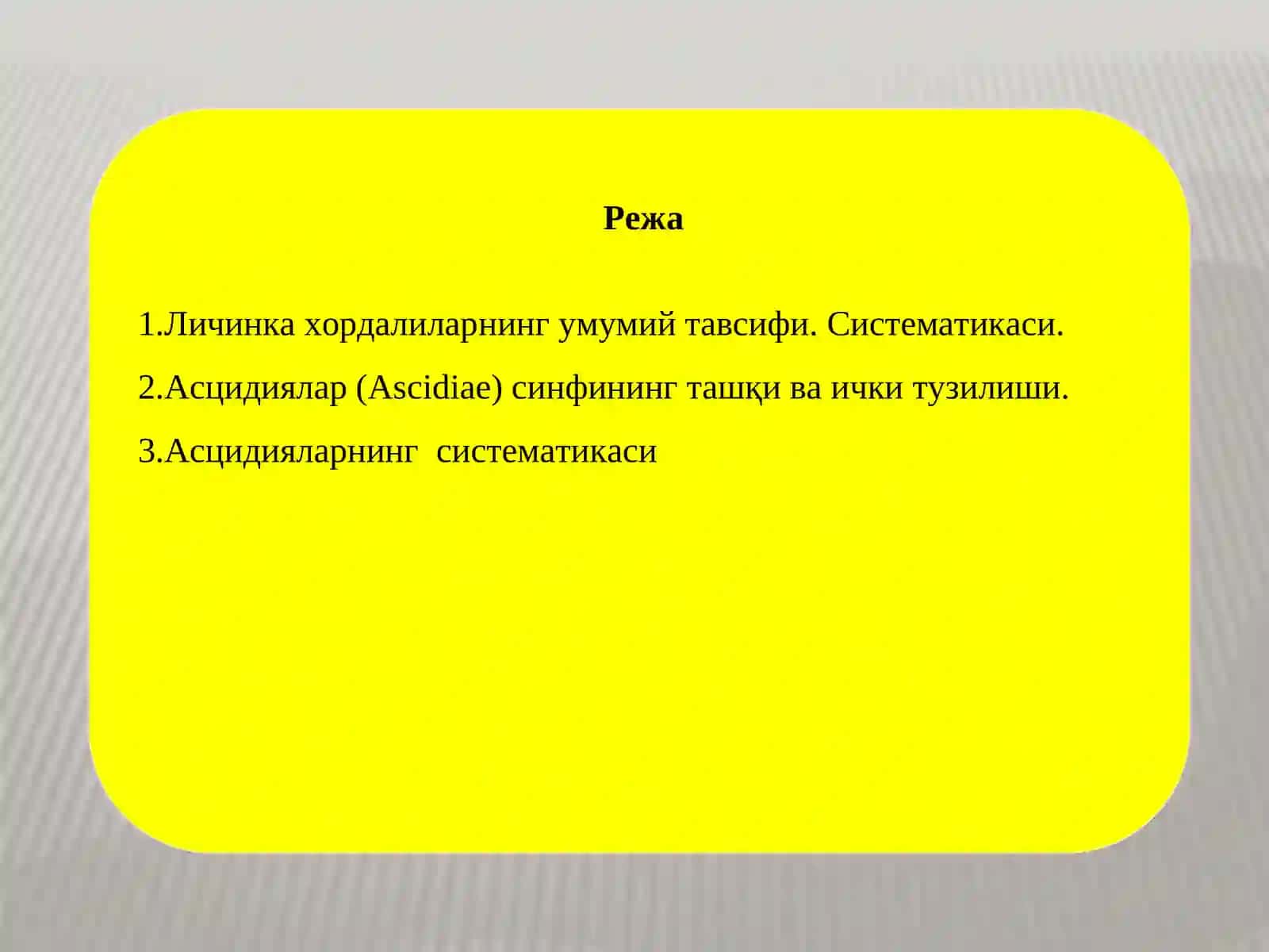 Xordalilar (Хордалилар) 2