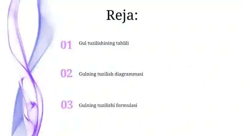 Gulning tuzilishi formulasi va diagrammasi 2