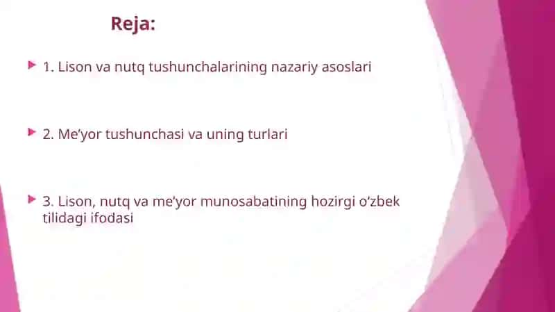 Hozirgi o‘zbek tilida lison,  nutq me’yor munosabati 2