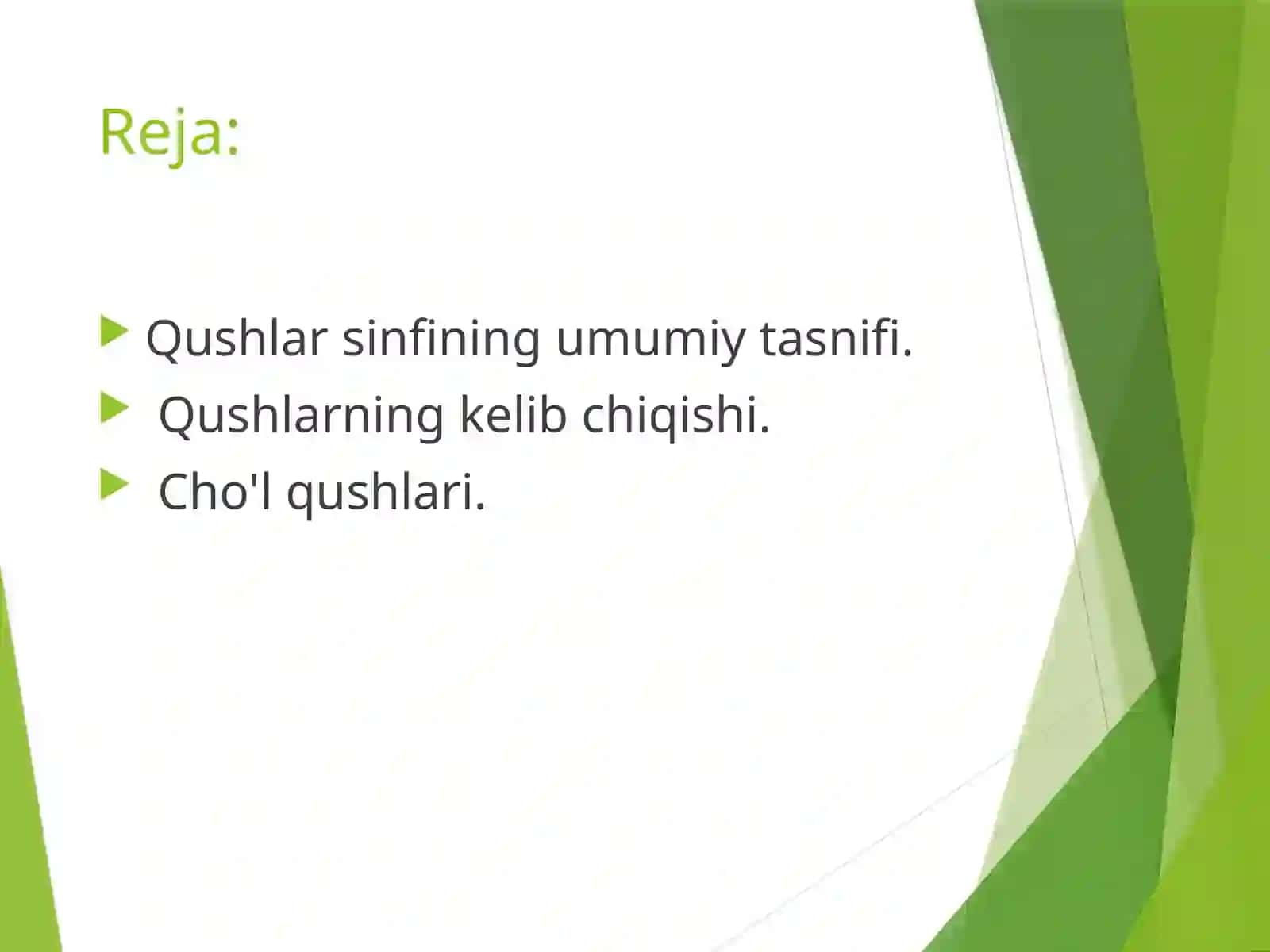 Cho'lqushlari 2
