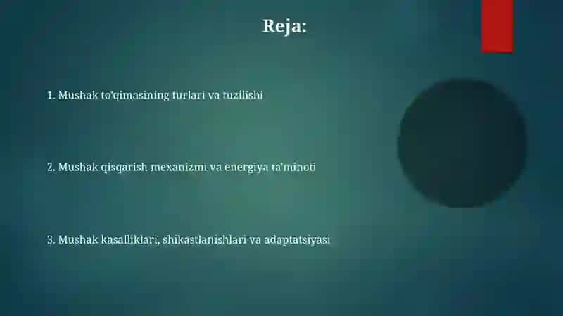 Mushakto‘qimasi 2
