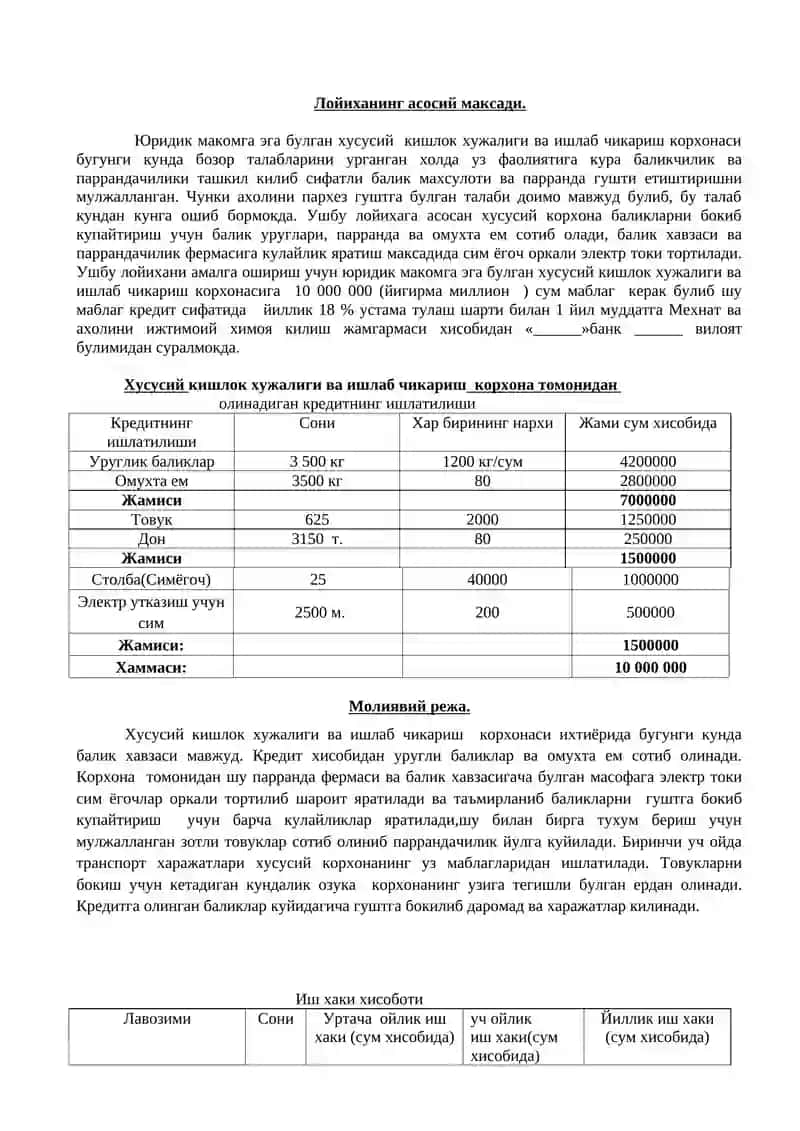 БИЗНЕСНИ ЛОЙИХАЛАШ 2