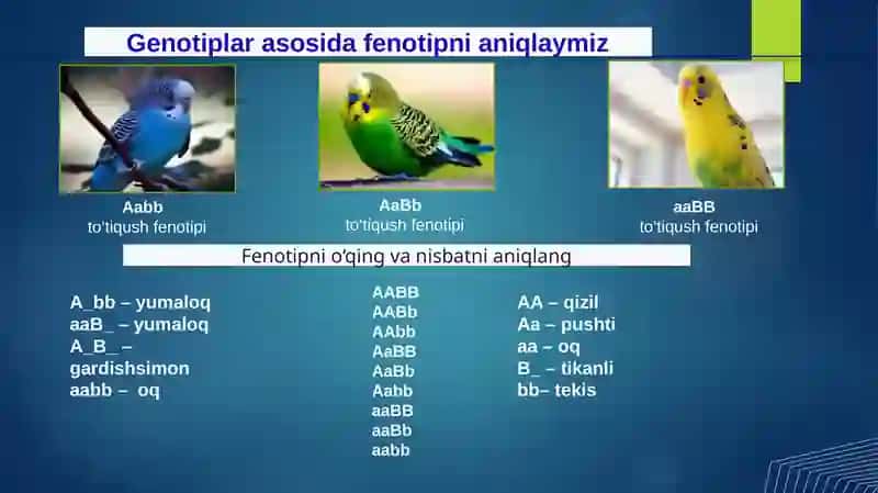Jinsgenetikasi 2