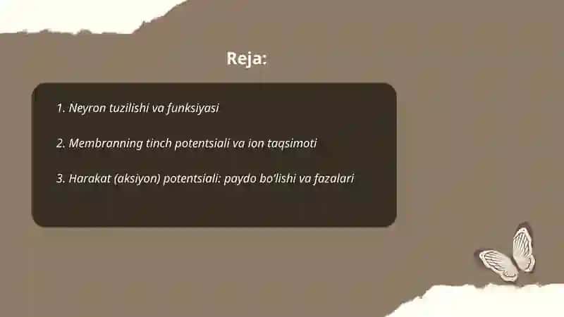 Qo'zg'aluvchan nerv sistemasi 2
