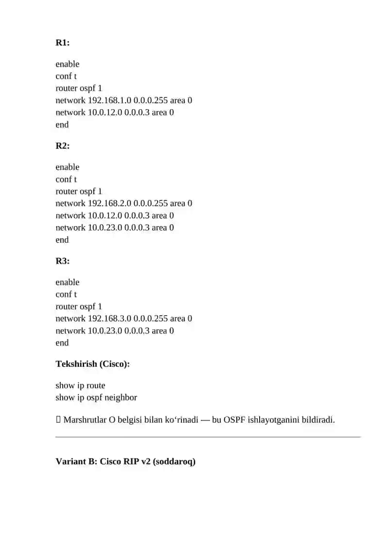 Routerlar dinamik marshrutlash protokollari (OSPF yoki RIP) 2